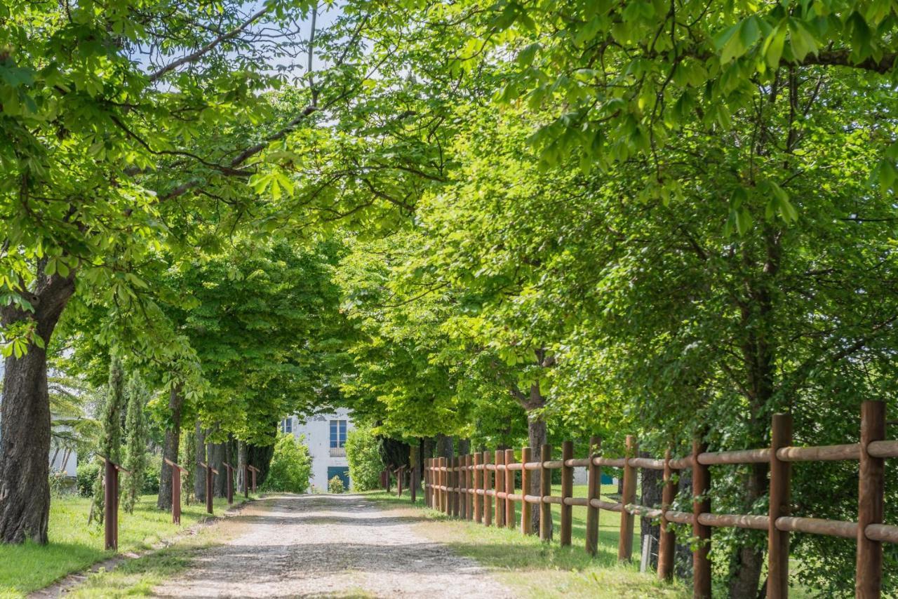 Collina Dei Poeti 호텔 산타르칸젤로 디 로마냐 외부 사진